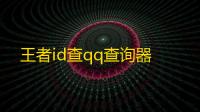 王者id查qq查询器